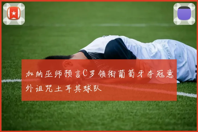 加纳巫师预言C罗领衔葡萄牙夺冠意外诅咒土耳其球队