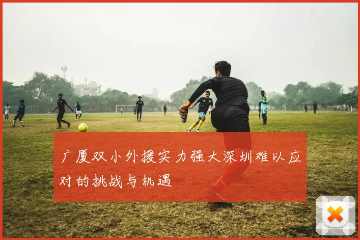 广厦双小外援实力强大深圳难以应对的挑战与机遇