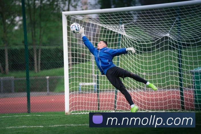 App功能展示图